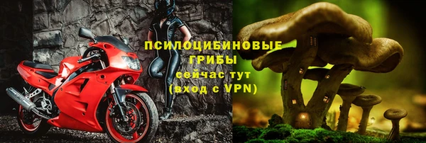 прущие грибы Бугульма